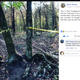 Image for article titled Ultrarunner Courtney Dauwalter Takes On The World's Most Sadistic Endurance Race